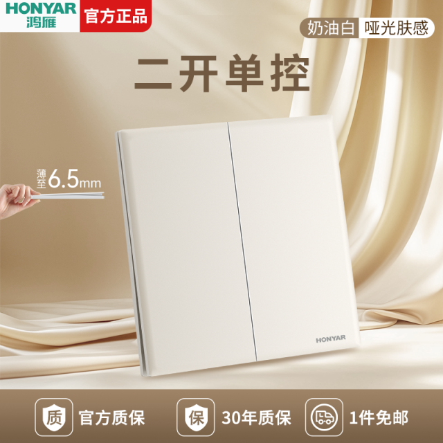 两开单控开关