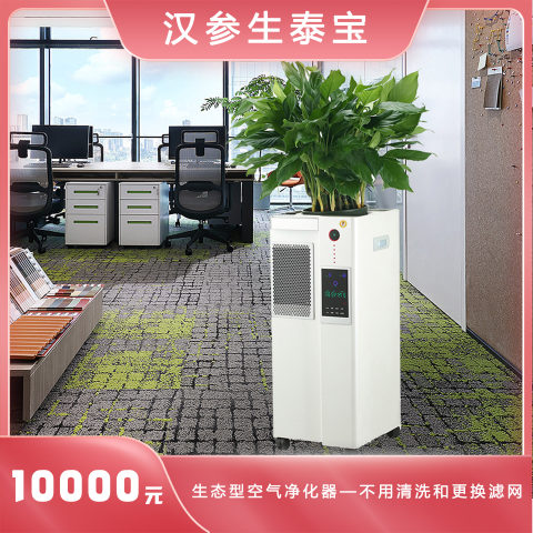 汉参生泰宝康养机除甲醛办公居家商业绿植负电离子净化