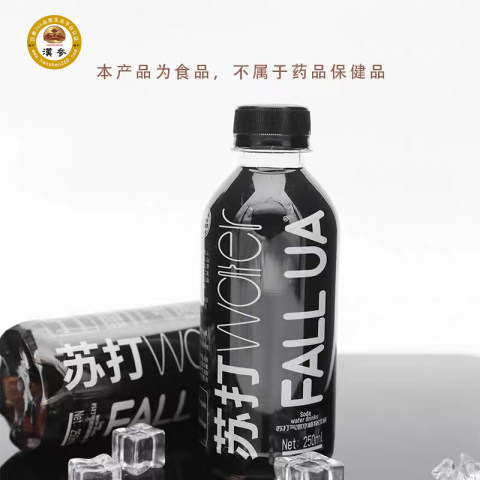 广东汉参堂汉参健康清枫链食小黑瓶苏打气泡水植物饮品15瓶/箱